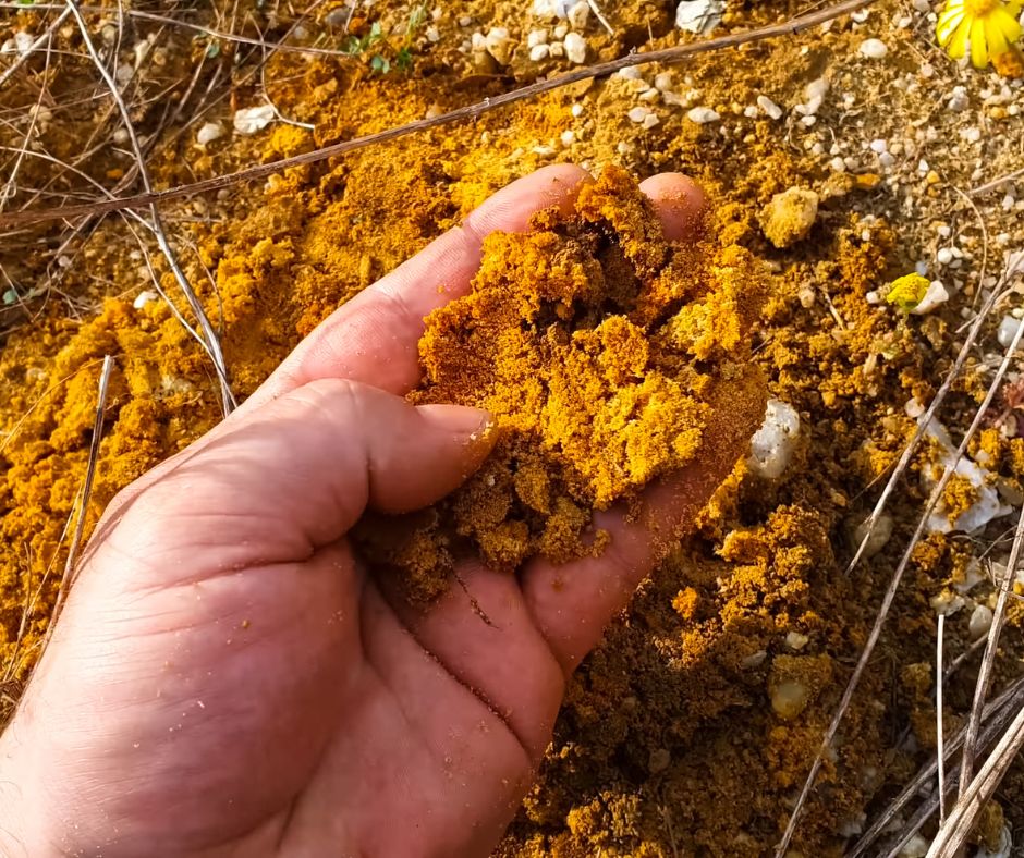 Investment Opportunities with Spring Africa in Uganda’s Gold Sector